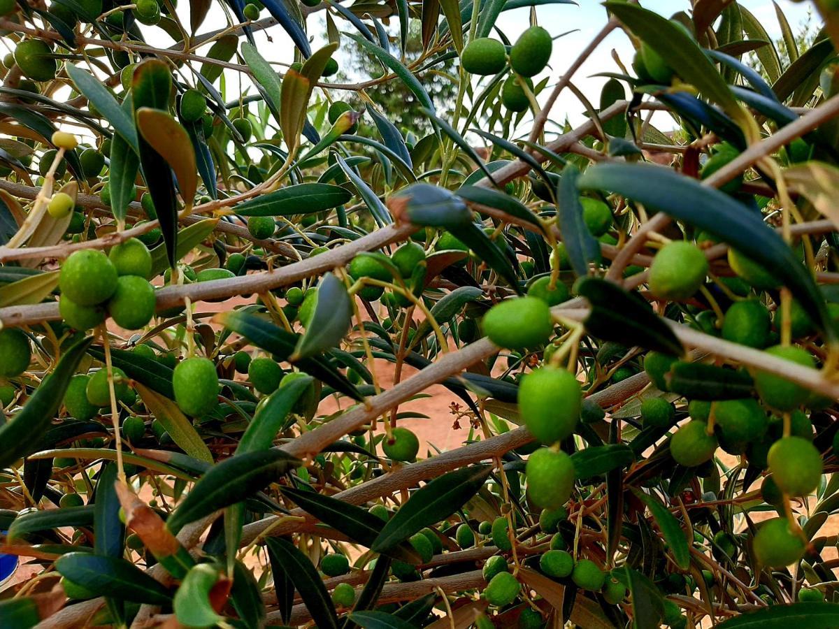 Agriturismo El Bounty1 Puerto del Rosario  Zewnętrze zdjęcie