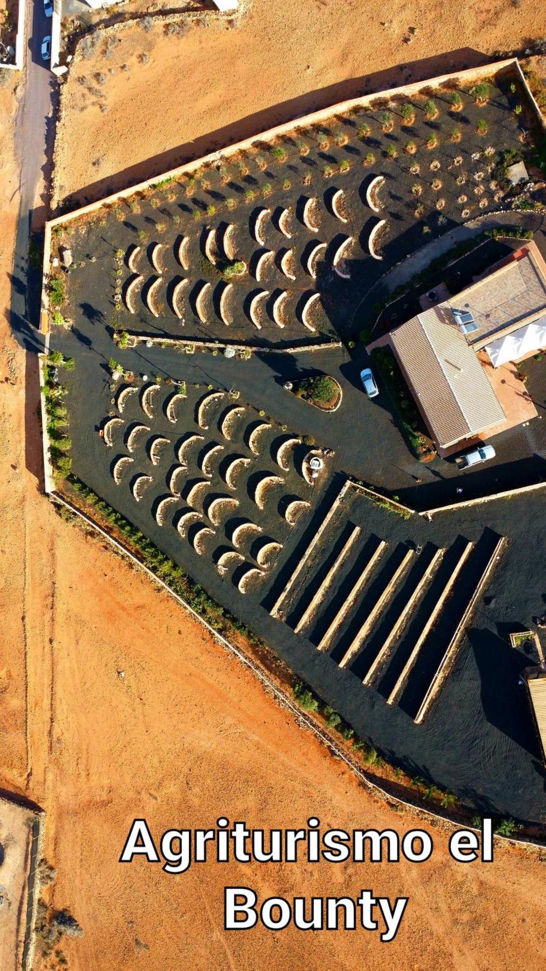 Agriturismo El Bounty1 Puerto del Rosario  Pokój zdjęcie