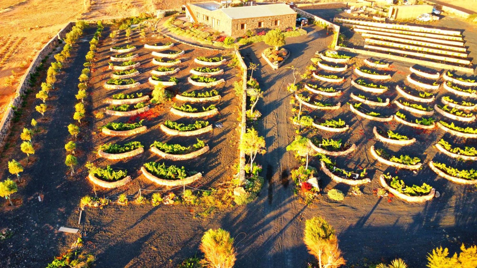 Agriturismo El Bounty1 Puerto del Rosario  Zewnętrze zdjęcie